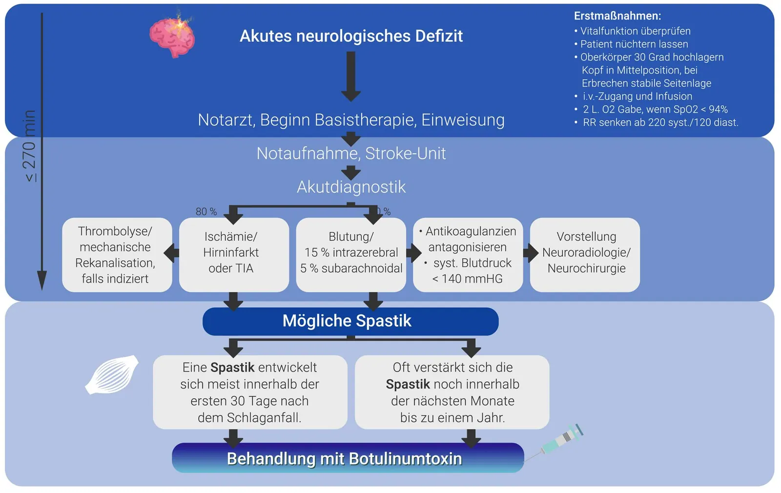 Leitlinien